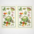Sewing kits - Green Market - 2 Tea Towels