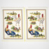 Village Rooster - 4 Tea Towels