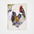 Sewing kits - Farm Rooster - 2 Tea Towels