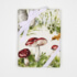Sewing kits - Mushroom Russula - 2 Tea Towels