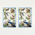 Sewing kits - Bird Atlas - 2 Tea Towels