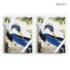 Bird Atlas - 4 Tea Towels