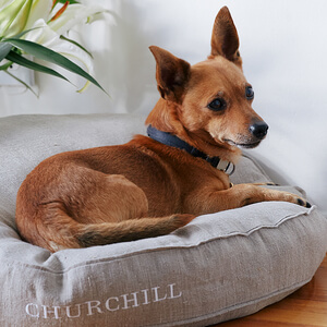 Linen Dog Bed Pattern
