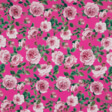 IC012 Susan RASPBERRY ROSE / MLT Softened 100% Cotton Light (3.4 oz/yd<sup>2</sup>)