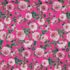 IC012 Poplin Raspberry Rose / Mlt Susan 100% Cotton Fabric