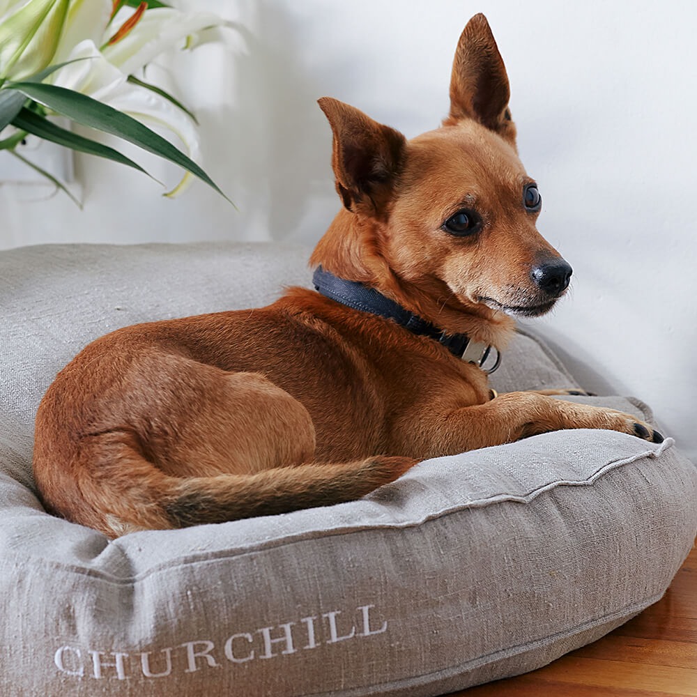Sewing Patterns - Churchill — Linen Dog Bed