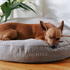 Sewing Patterns - Churchill — Linen Dog Bed