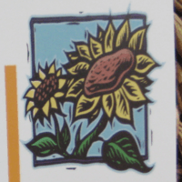 Reesa S profile image