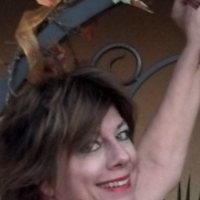 Sharron Hart profile image