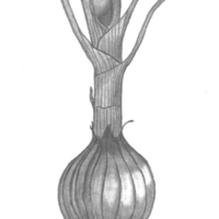 Charlotte profile image